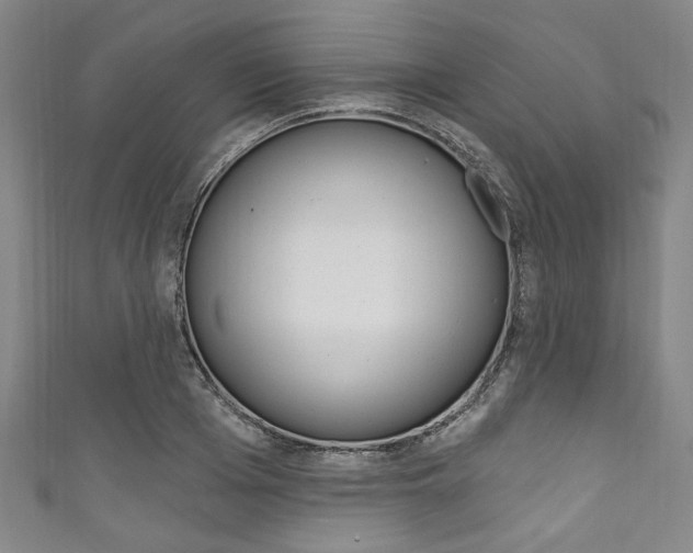 X0000111830985200907231018