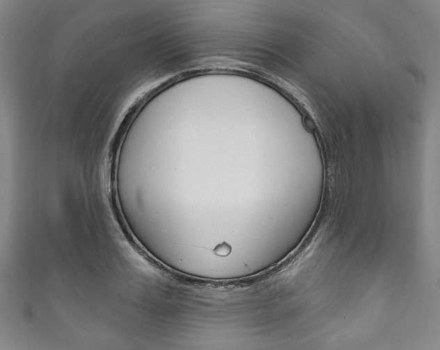 X0000111830987200907231018