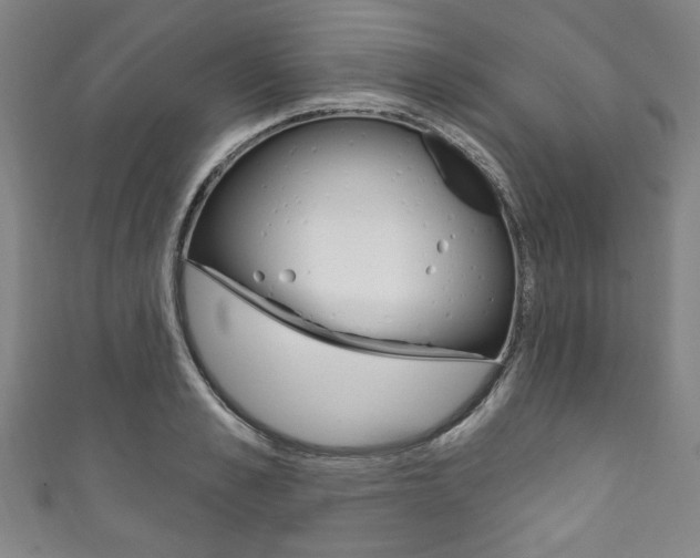 X0000111830989200907231018