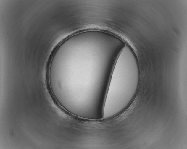 X0000111830991200907231018