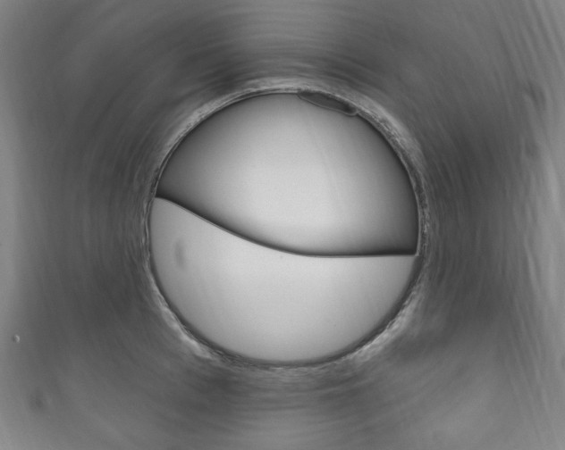 X0000111830993200907231018
