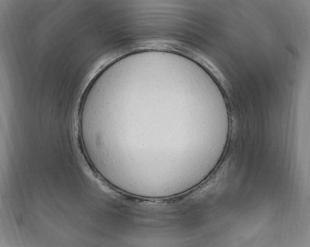 X0000111830994200907231018