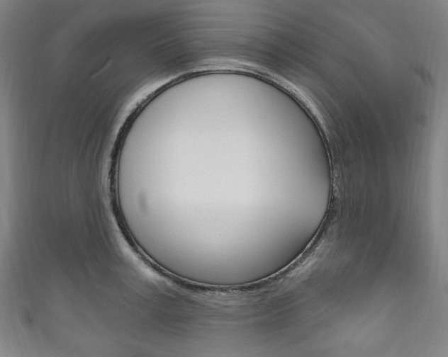 X0000111830995200907231018