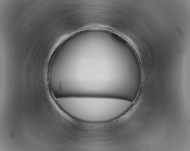 X0000111830997200907231018