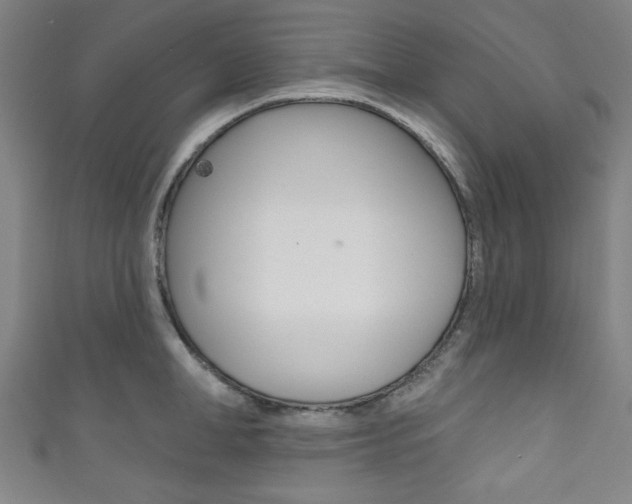 X0000111830998200907231018