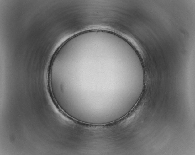 X0000111830999200907231018