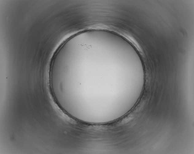 X0000111831000200907231018
