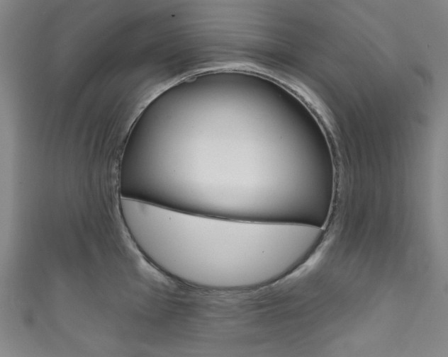 X0000111831001200907231018