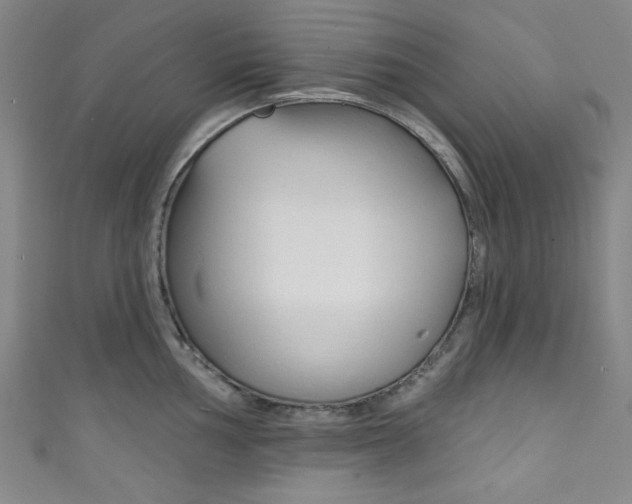 X0000111831002200907231018