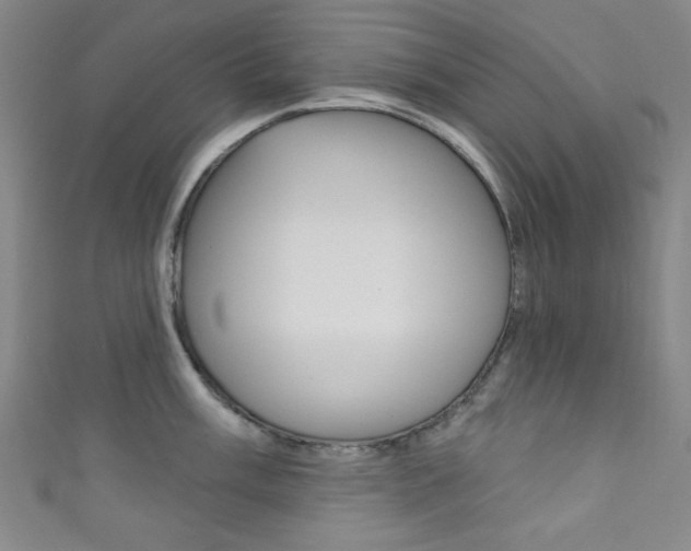 X0000111831003200907231018