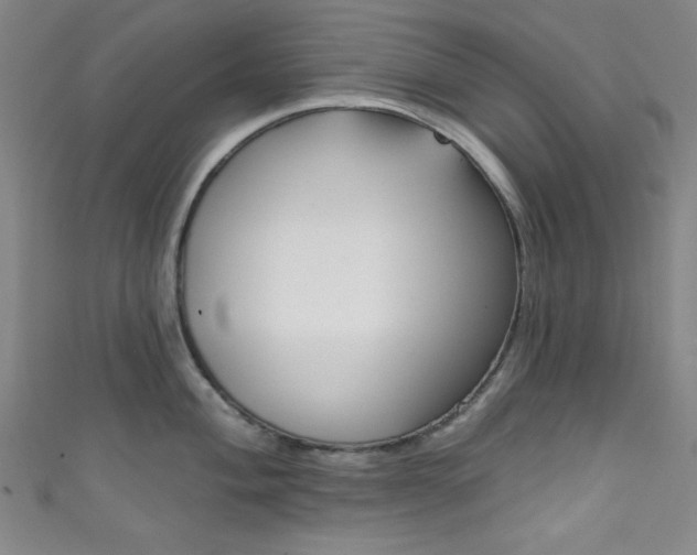 X0000111831004200907231018