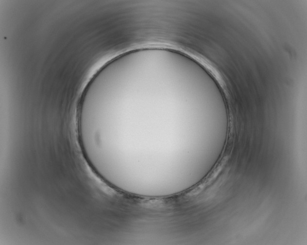 X0000111831006200907231018