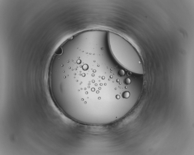 X0000111831007200907231018