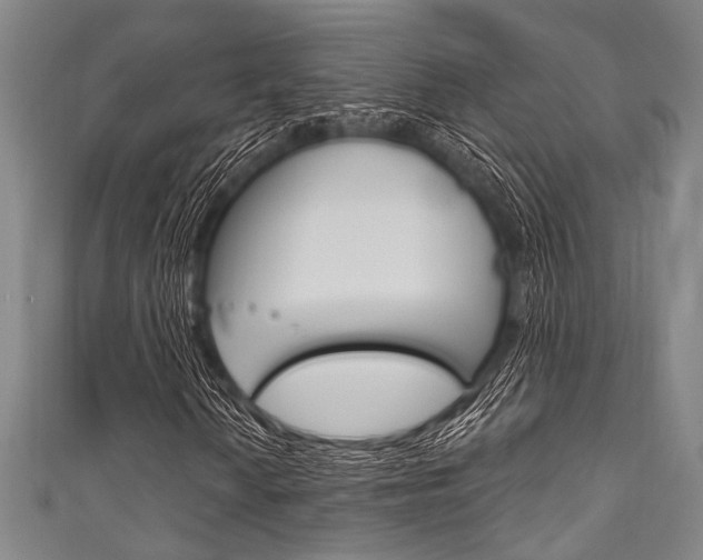 X0000111831010200907231018