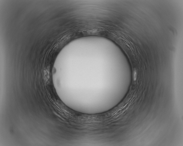 X0000111831011200907231018
