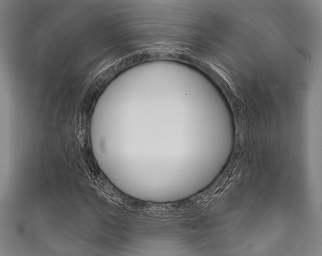 X0000111831015200907231018