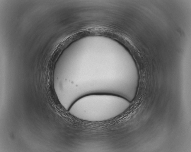 X0000111831016200907231018