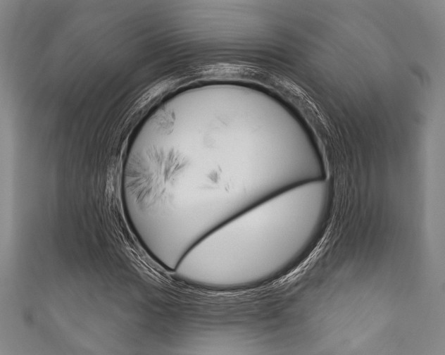 X0000111831017200907231018