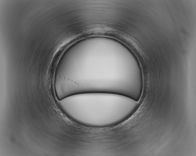 X0000111831018200907231018