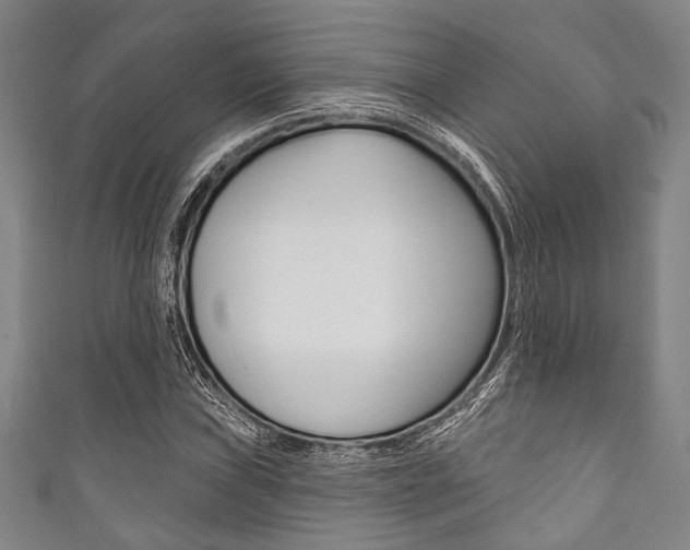 X0000111831019200907231018
