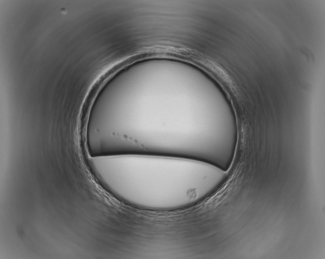X0000111831020200907231018