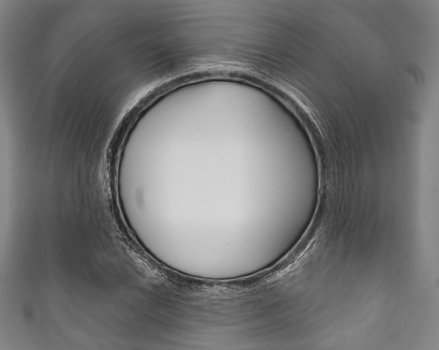 X0000111831022200907231018