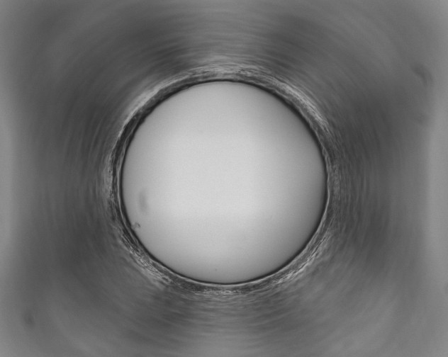 X0000111831023200907231018
