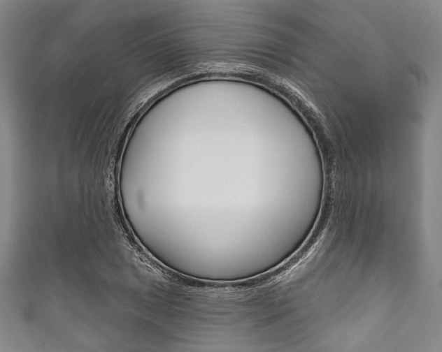 X0000111831025200907231018