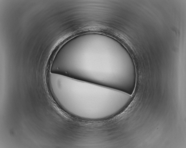 X0000111831026200907231018