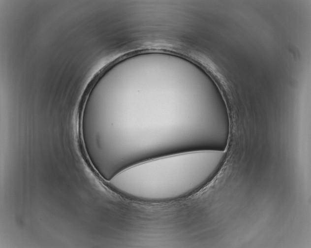 X0000111831032200907231018