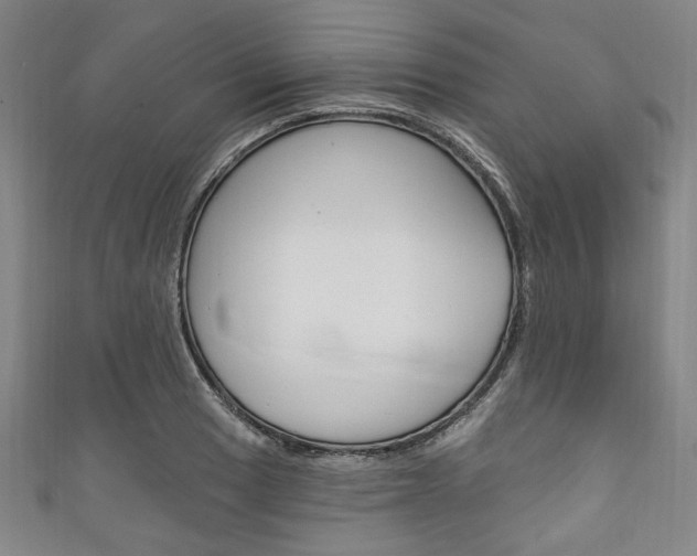 X0000111831033200907231018