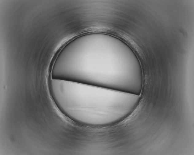 X0000111831034200907231018
