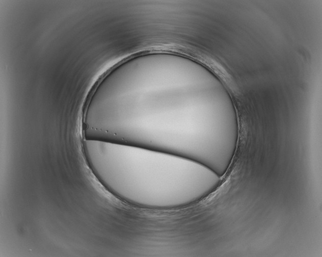 X0000111831036200907231018