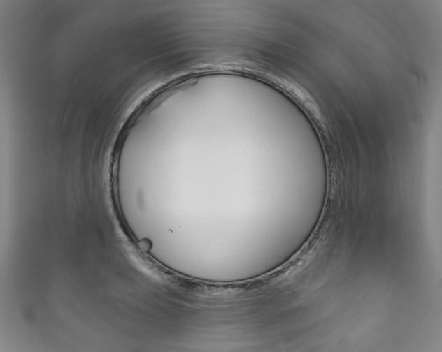 X0000111831039200907231018