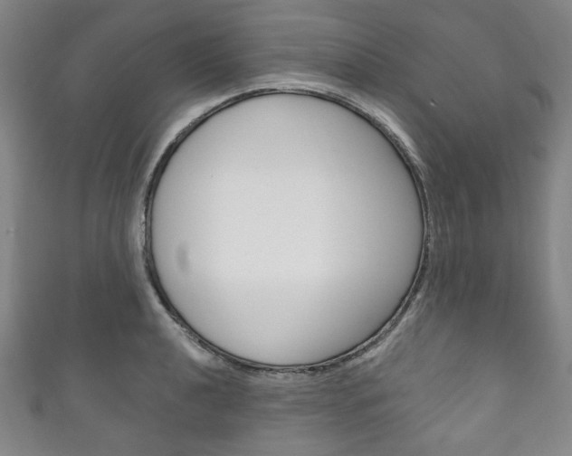 X0000111831040200907231018