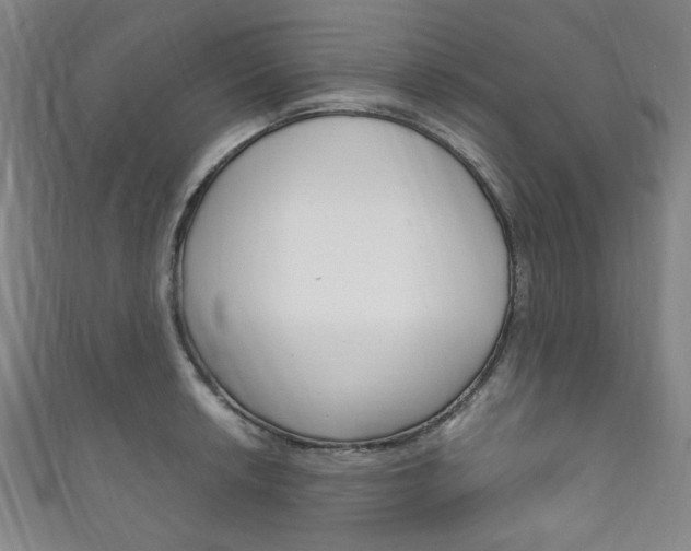 X0000111831042200907231018