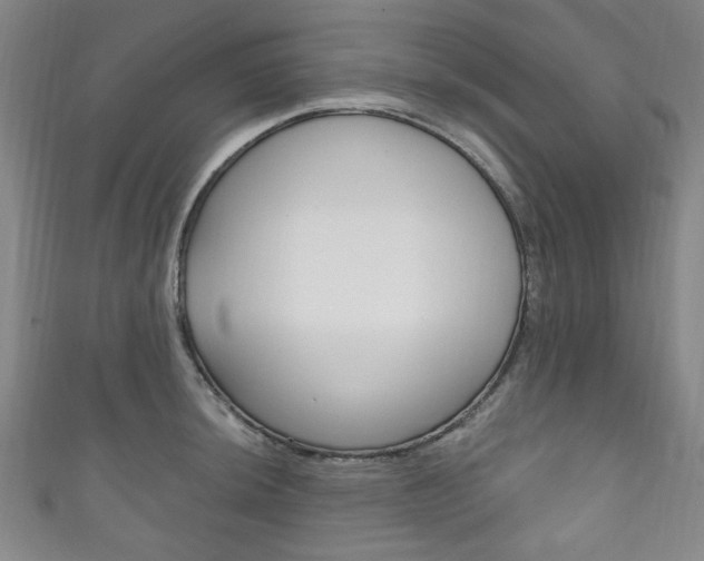 X0000111831044200907231018