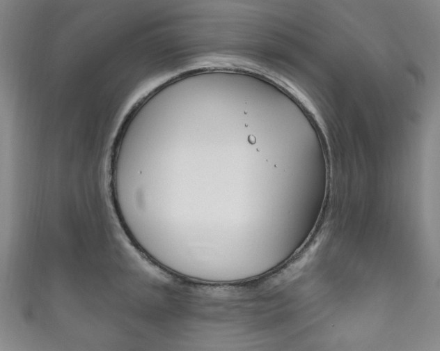 X0000111831045200907231018