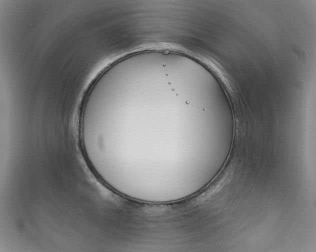 X0000111831046200907231018