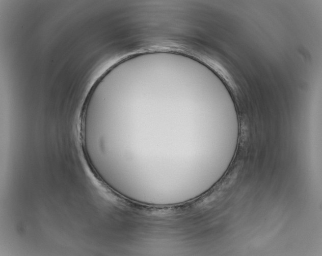 X0000111831047200907231018