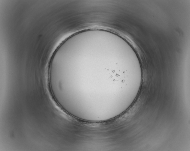 X0000111831048200907231018