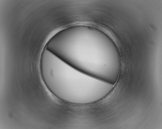 X0000111831050200907231018