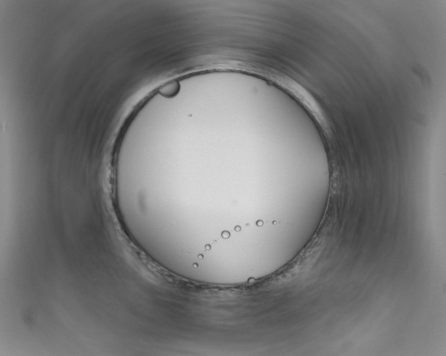 X0000111831051200907231018