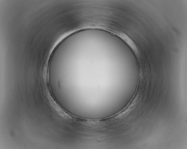X0000111831052200907231018