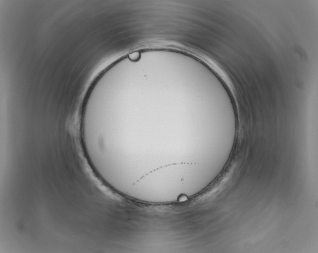 X0000111831053200907231018