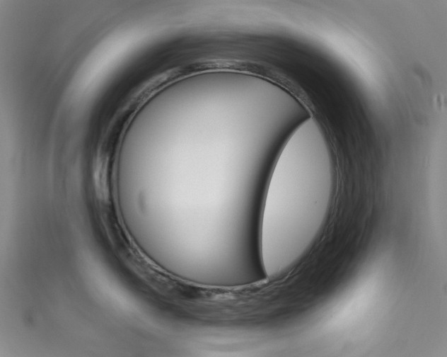 X0000111831054200907231018
