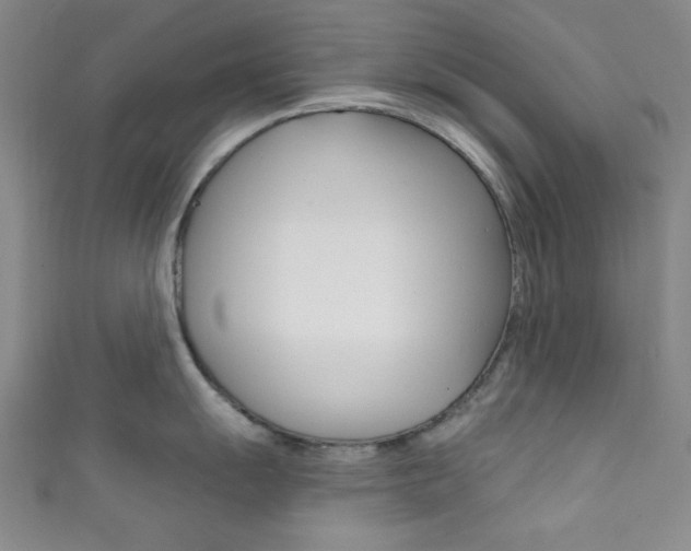 X0000111831055200907231018
