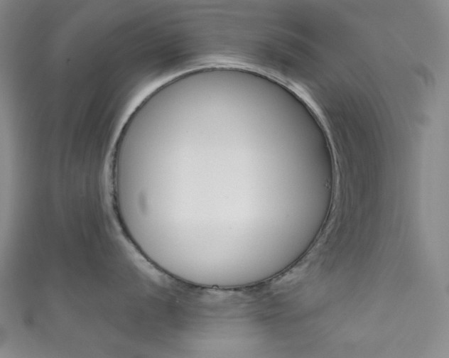 X0000111831056200907231018