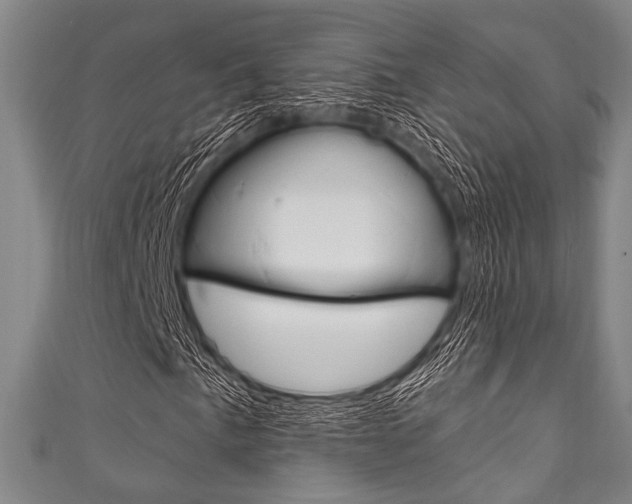 X0000111831057200907231018