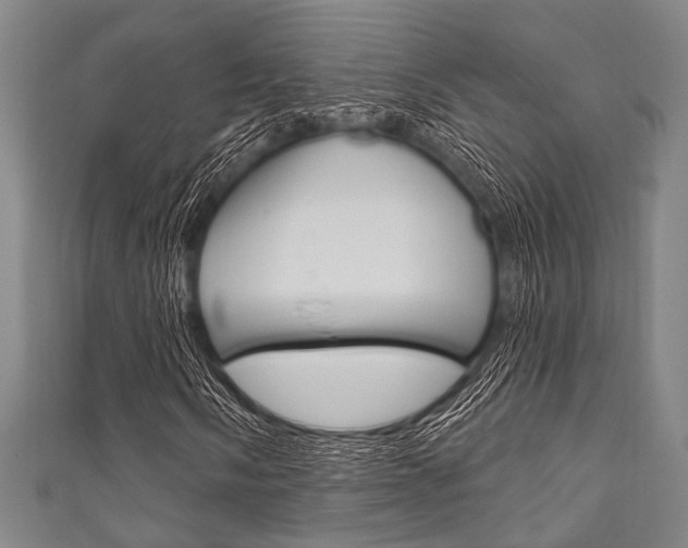 X0000111831058200907231018